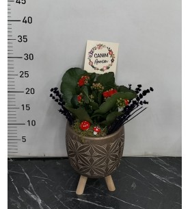 Ayaklı saksı da kalanchoe çiçeği